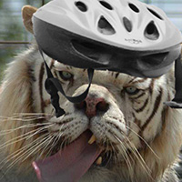 Gio